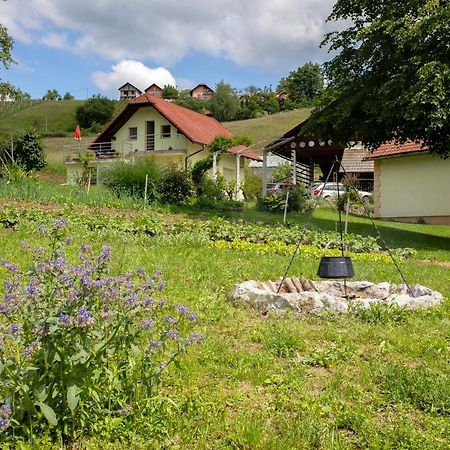Вилла Domacija Vesel Trebnje Экстерьер фото