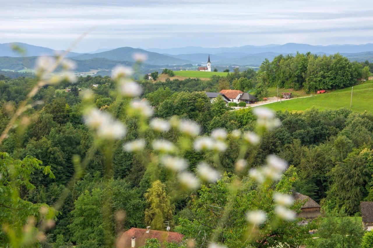 Вилла Domacija Vesel Trebnje Экстерьер фото